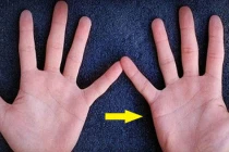 5 điểm chỉ có trên bàn tay tán lộc: Trẻ lận đận, về già chẳng đủ ăn