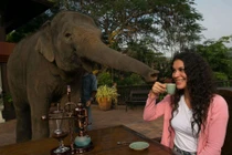 Những ly cà phê đắt đỏ nhất thế giới, giá tiền triệu/ly bé xíu