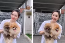 Bảo Thy khoe cún mới nhưng spotlight lại đổ dồn về nhan sắc