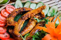 Loài cá ở Việt Nam có vẻ ngoài đáng sợ, giá "cắt cổ" 400.000 đồng/kg