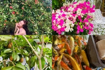 Vy Oanh thu hoạch hoa trái trong vườn của biệt thự 1400m2