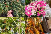 Vy Oanh thu hoạch hoa trái trong vườn của biệt thự 1400m2