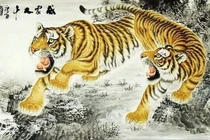 Năm Nhâm Dần muốn treo tranh hổ cần lưu ý 5 nguyên tắc