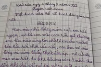 Bài văn tả mèo hàng xóm của bé gái khiến dân mạng "gục ngã"