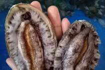 Hải sản nhà giàu rẻ chưa từng có, Tết bình dân chọn ăn đặc sản