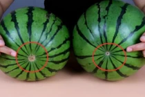 Mua dưa hấu: Có 5 dấu hiệu này, hãy lấy ngay vì quả chín già, mỏng vỏ, siêu ngọt