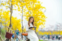 Thiếu nữ hóa nàng thơ trên con đường hoa đẹp tựa trời Âu giữa lòng Hà Nội