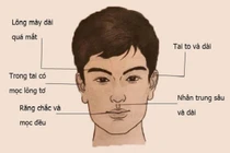 Tướng mặt của đàn ông được thần Tài chống lưng, phú quý ngập nhà