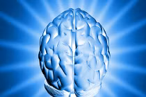 Gen bệnh Alzheimer ảnh hưởng nhiều nhất tới phụ nữ