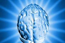 Gen bệnh Alzheimer ảnh hưởng nhiều nhất tới phụ nữ