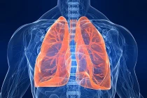 11 điều về hệ hô hấp khiến bạn bất ngờ