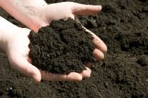 Máy sản xuất phân hữu cơ made in Vietnam thông minh và “siêu” nhanh