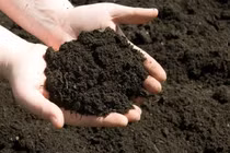 Máy sản xuất phân hữu cơ made in Vietnam thông minh và “siêu” nhanh