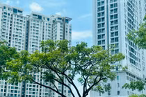 Phân khúc nào dẫn dắt sự hồi phục thị trường bất động sản Hà Nội?