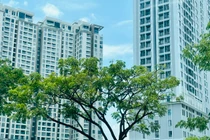 Phân khúc nào dẫn dắt sự hồi phục thị trường bất động sản Hà Nội?