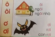 Hoang mang sách Tiếng Việt dạy trẻ đọc “con dơi” thành “con rơi“