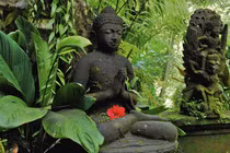  Phật dạy: Luật nhân quả đối với người ác khẩu