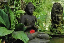  Phật dạy: Luật nhân quả đối với người ác khẩu