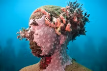 Bảo tàng điêu khắc dưới nước lớn nhất thế giới