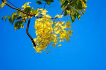 Nghe lời bạn thử chồng để rồi nhận cái kết đắng