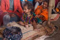 Bí ẩn bộ tộc thôi miên rắn hổ mang để ôm ấp