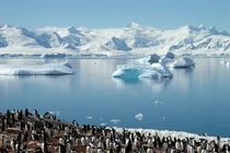 Châu lục nào giữ 90% lượng nước ngọt trên thế giới?