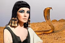 Bí ẩn về loài rắn độc Ai Cập và cái chết của nữ hoàng Cleopatra
