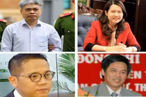 Cái kết đắng ngắt cho các TGĐ ngành ngân hàng sai phạm