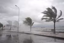 Chiều mai, bão số 10 giật cấp 15 đi vào Nghệ An-Quảng Trị