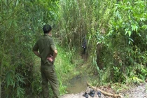 Kinh hoàng phát hiện xác bé gái 13 tuổi bị chôn trong bụi cây