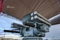 Ngạc nhiên tổ hợp phòng không Pantsir-M: Giống hệt Palma Việt Nam