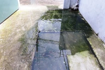 Người dân "chết ngạt" vì chủ nhà trọ xả thẳng nước bể phốt ra đường