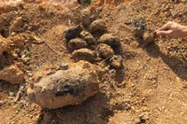 Tá hỏa khi đào đất vườn nhà thấy la liệt bom, mìn, lựu đạn