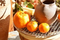 Trào lưu ăn trái cây nướng: Thơm ngon hơn...có hao hụt dinh dưỡng?