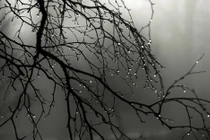 Kinh ngạc lý do con người dễ ngủ khi trời mưa