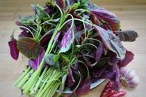 Dền xanh và dền đỏ, loại nào bổ hơn? Câu trả lời bất ngờ