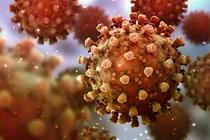 Biến thể JN.1 của virus SARS-CoV-2 tăng nhanh, có đáng lo ngại?
