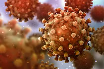 Biến thể JN.1 của virus SARS-CoV-2 tăng nhanh, có đáng lo ngại?