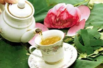 Kinh ngạc loại lá “vua hút mỡ”, mùa hè rất nhiều