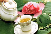 Kinh ngạc loại lá “vua hút mỡ”, mùa hè rất nhiều