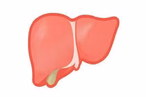 Thói quen buổi sáng hại gan hơn rượu mạnh, triệu người không biết