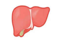 Thói quen buổi sáng hại gan hơn rượu mạnh, triệu người không biết