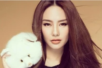 Mới yêu Lâm Vinh Hải, “người thứ 3” Linh Chi đã bị đối xử thế này 