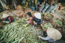 Chùm ảnh: Bên trong khu chợ bắp lớn nhất Sài Gòn