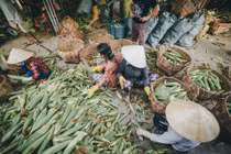 Chùm ảnh: Bên trong khu chợ bắp lớn nhất Sài Gòn