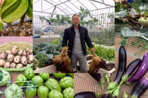 Vườn cây trái trĩu giàn trên sân thượng của ông bố Thủ đô