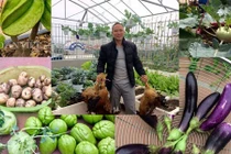 Vườn cây trái trĩu giàn trên sân thượng của ông bố Thủ đô