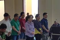 Thuê giang hồ đốt ôtô khiến cha ruột tử vong