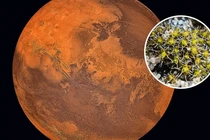 Tiết lộ chấn động NASA tiêu diệt sự sống trên Sao Hỏa năm 1976? 
