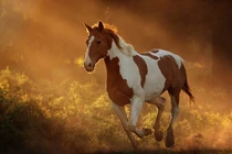  Ai khó mặc ai, 3 con giáp dễ kiếm tiền nhất trong tháng 3